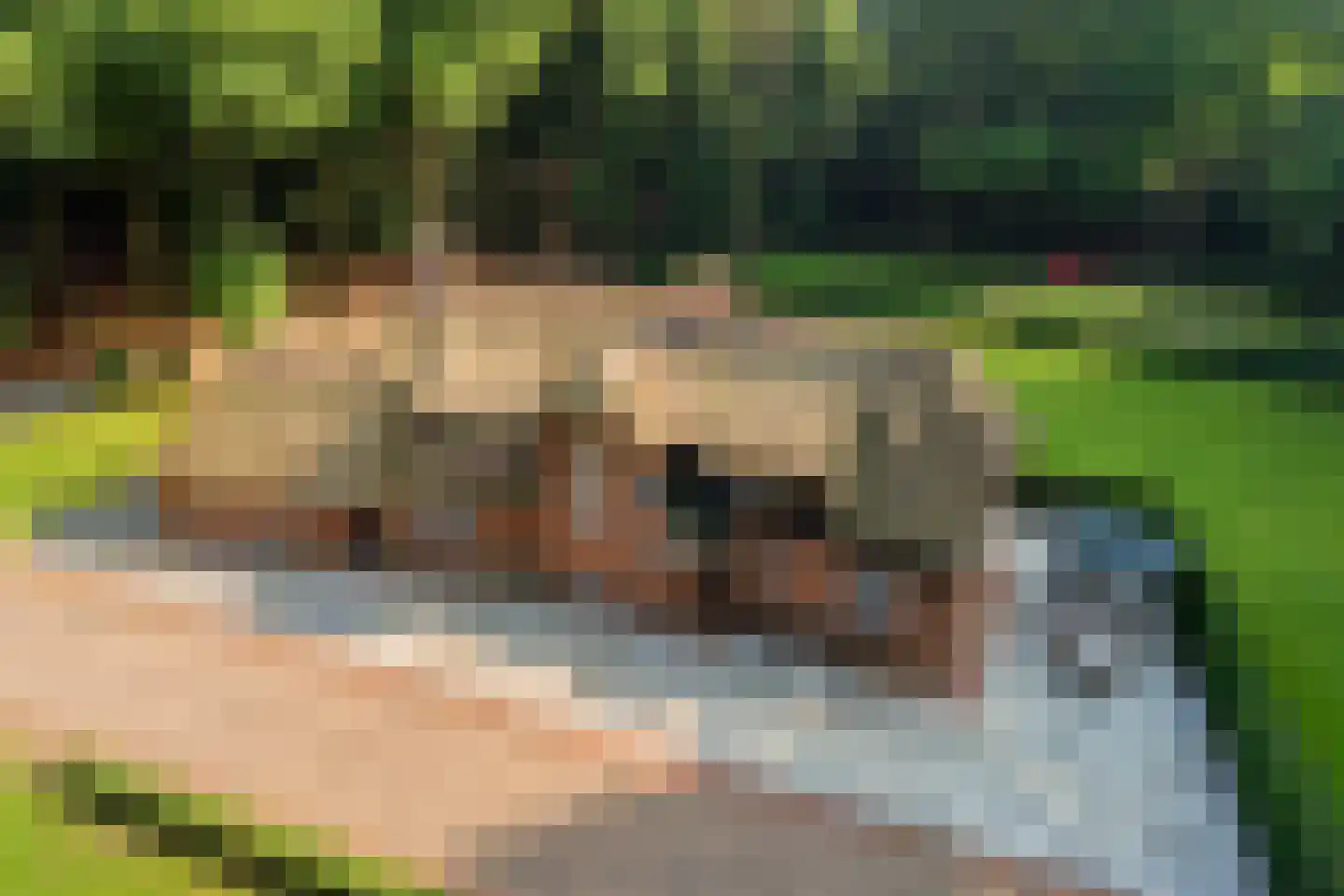 Horalaan 1 Ede thumbnail 11