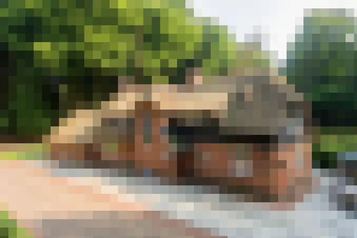 Horalaan 1 Ede thumbnail 12