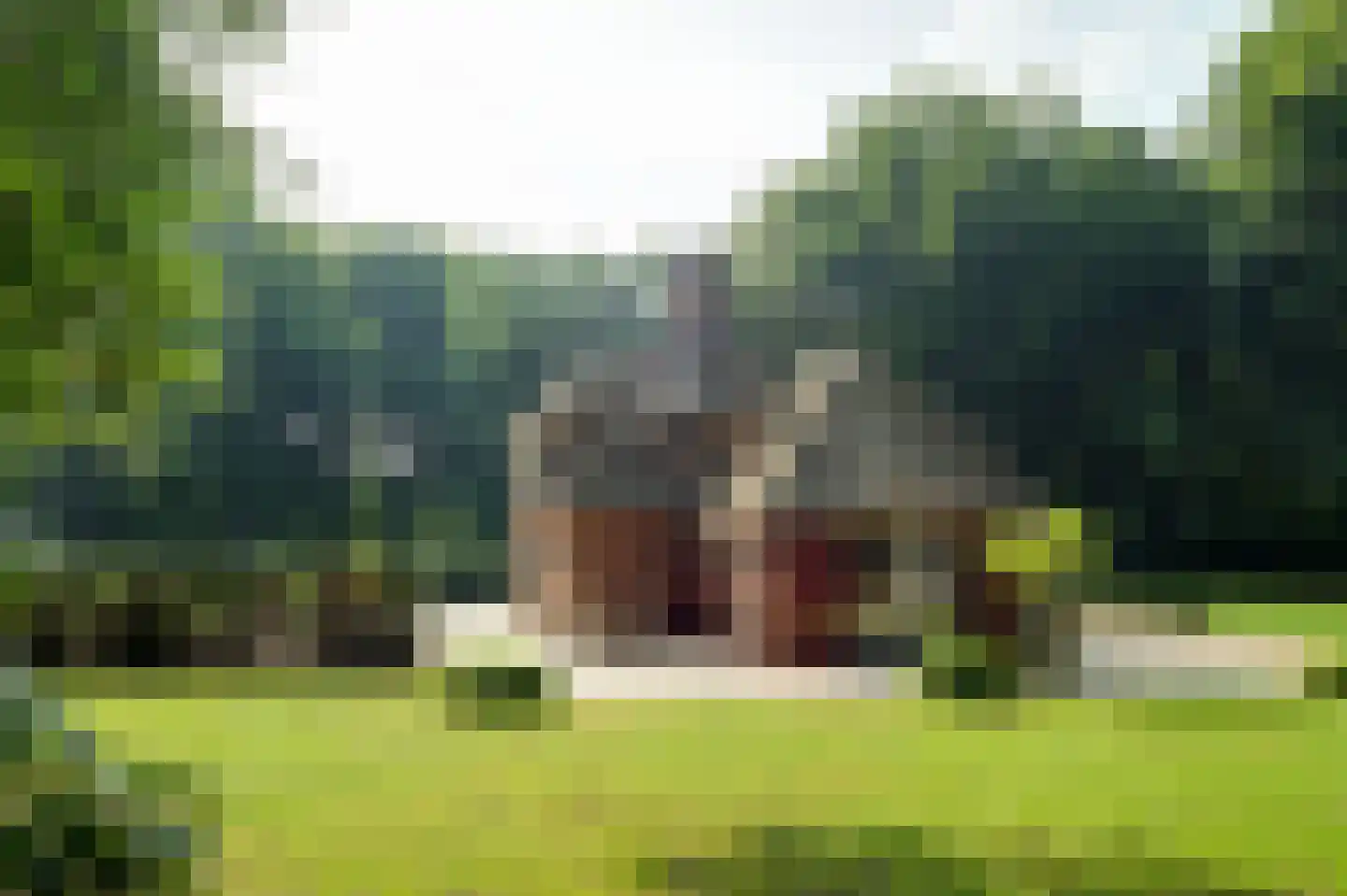 Horalaan 1 Ede thumbnail 14