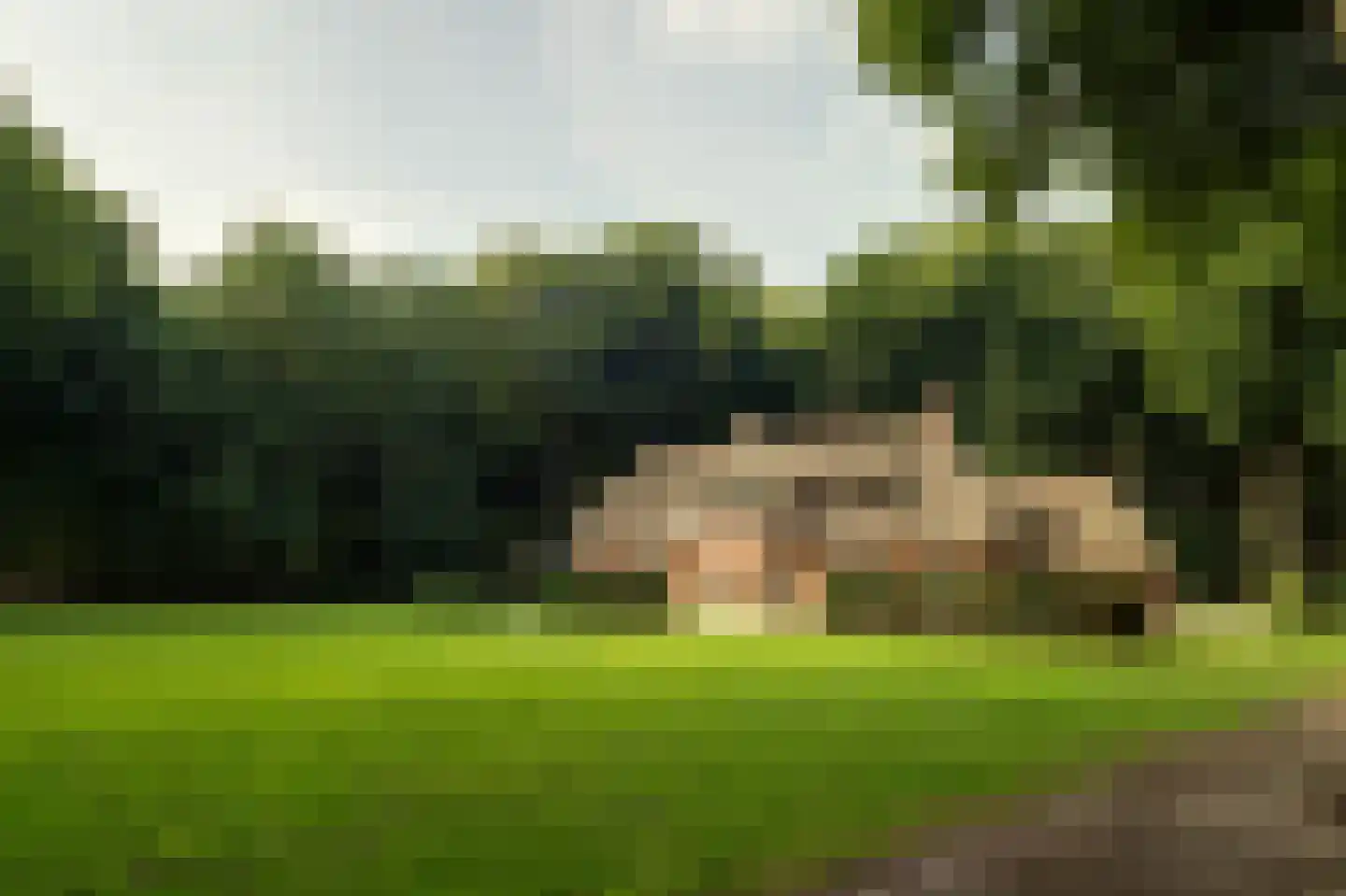 Horalaan 1 Ede thumbnail 18
