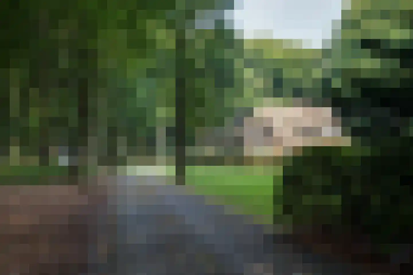 Horalaan 1 Ede thumbnail 20