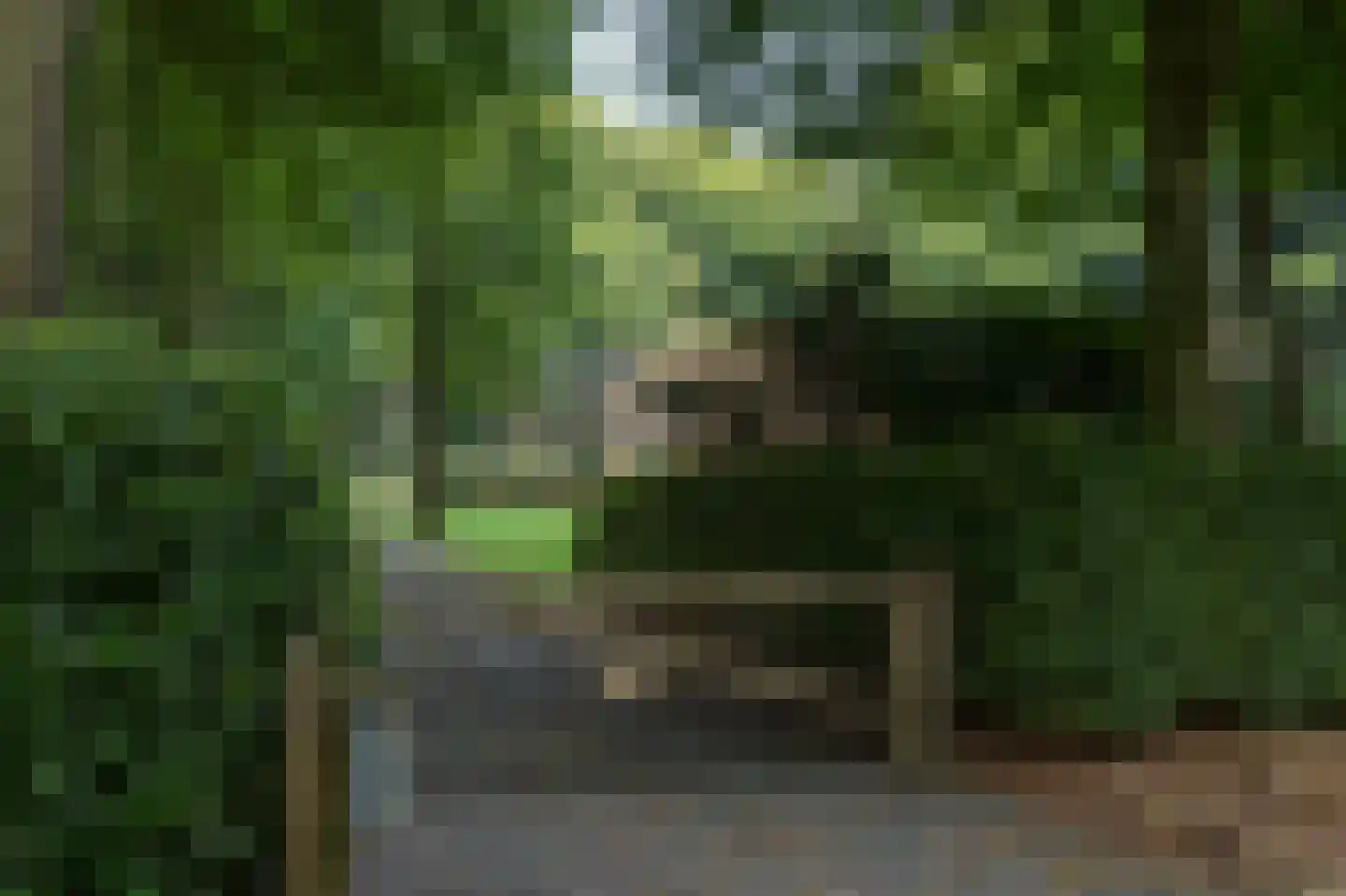 Horalaan 1 Ede thumbnail 21