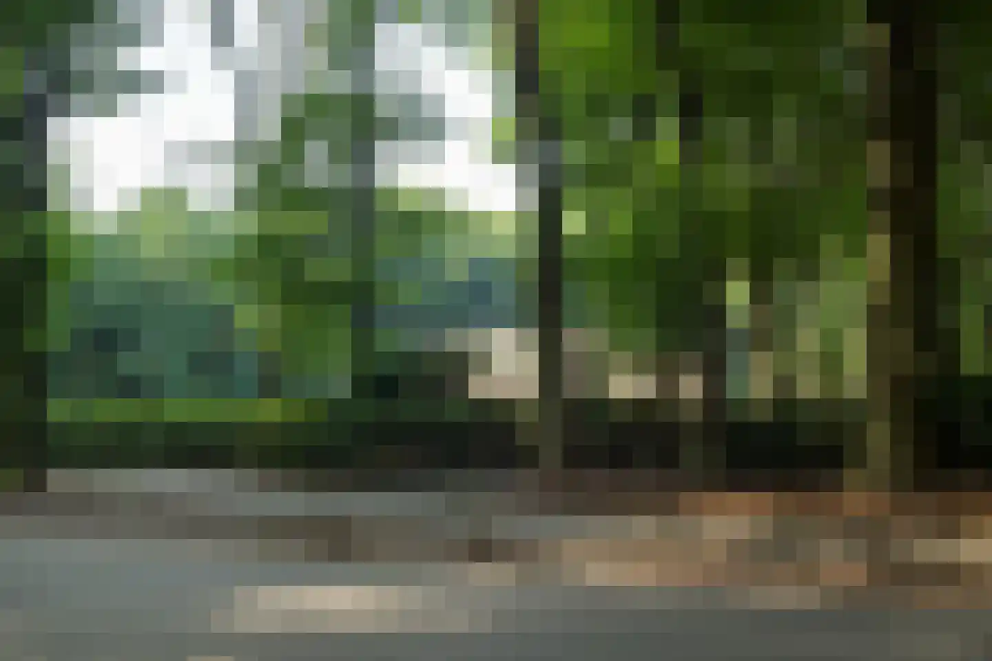 Horalaan 1 Ede thumbnail 22