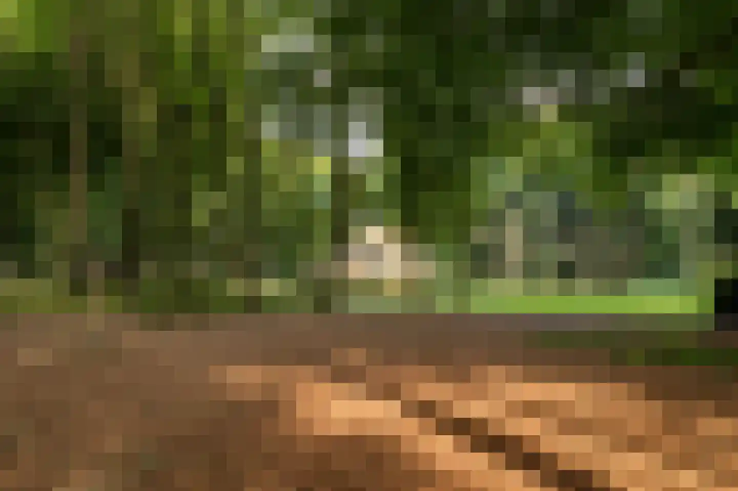 Horalaan 1 Ede thumbnail 23