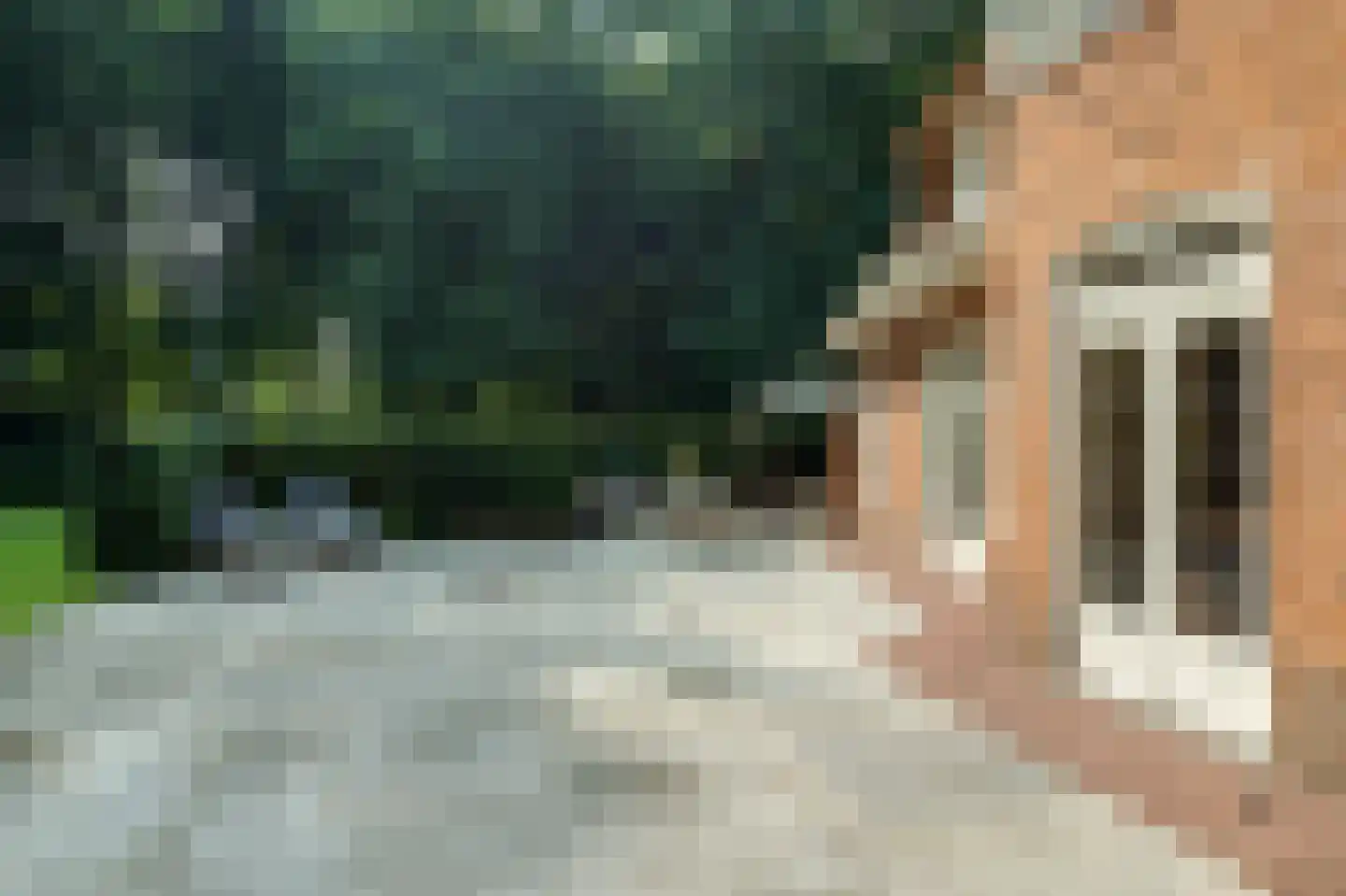 Horalaan 1 Ede thumbnail 29