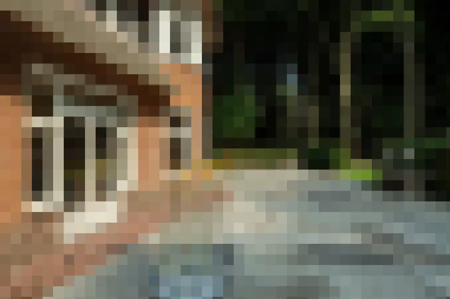 Horalaan 1 Ede thumbnail 31