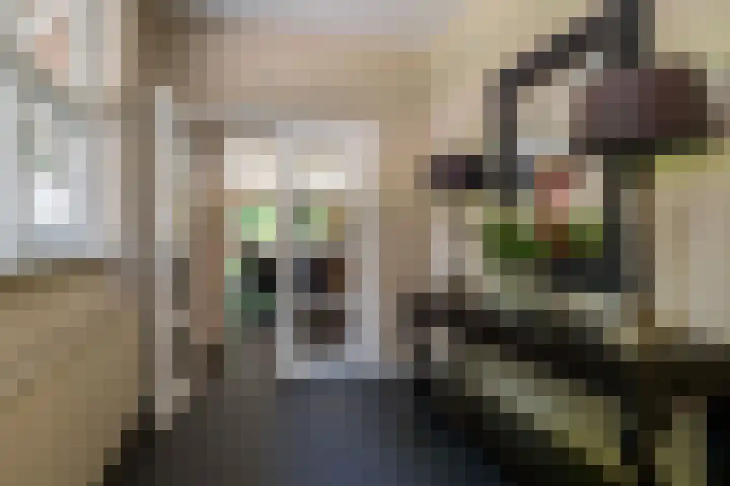 Horalaan 1 Ede thumbnail 33