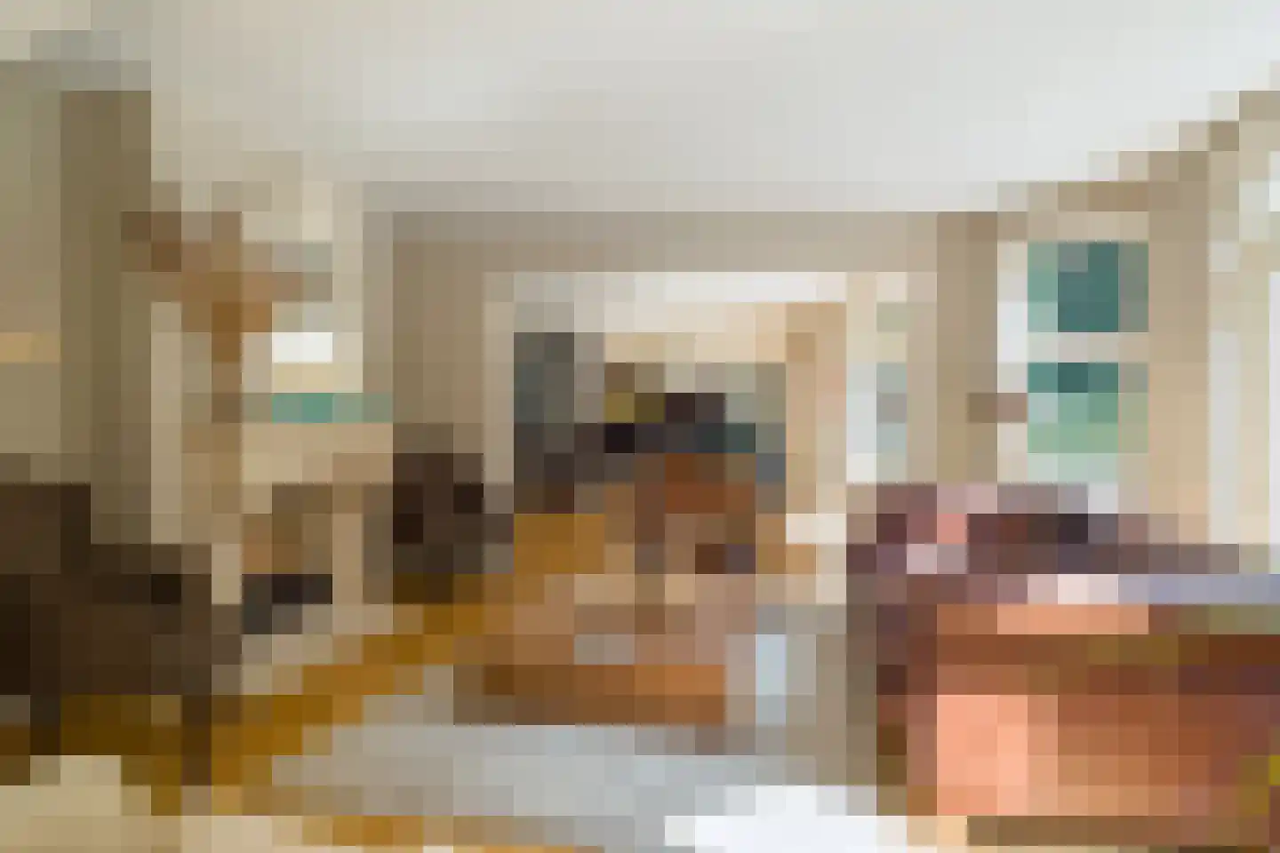 Horalaan 1 Ede thumbnail 41