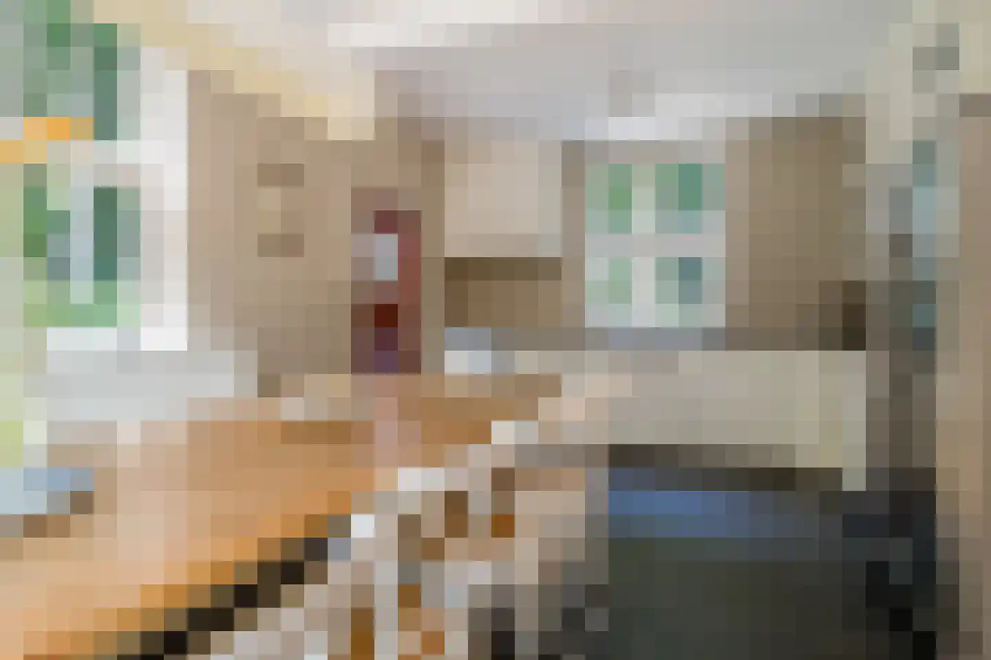 Horalaan 1 Ede thumbnail 51