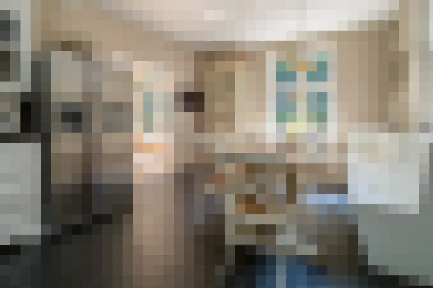 Horalaan 1 Ede thumbnail 53