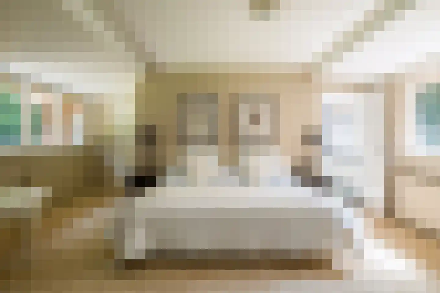 Horalaan 1 Ede thumbnail 63