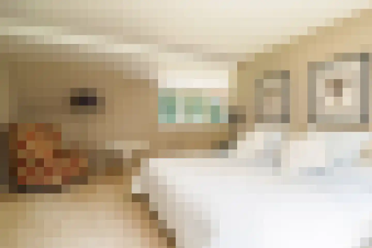 Horalaan 1 Ede thumbnail 64