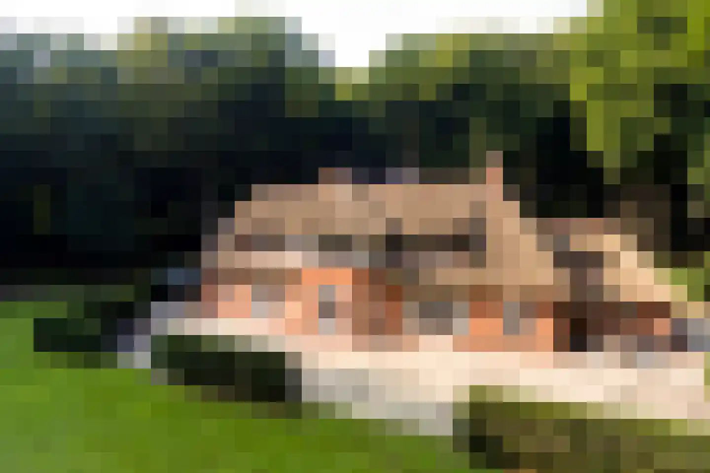 Horalaan 1 Ede thumbnail 7