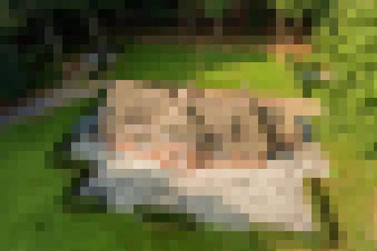 Horalaan 1 Ede thumbnail 8