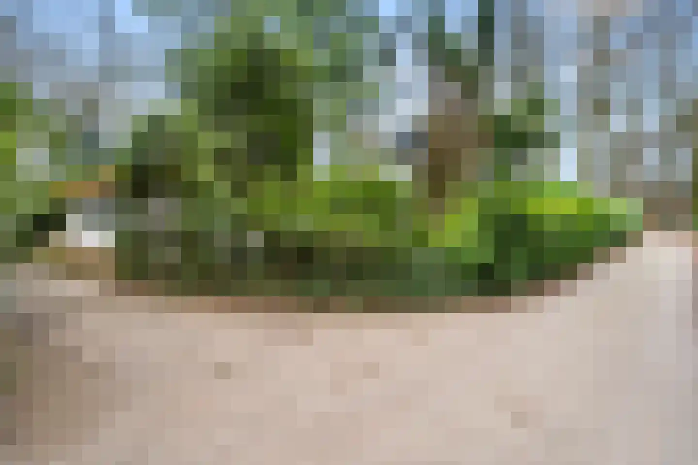 Horalaan 111 Bennekom thumbnail 10