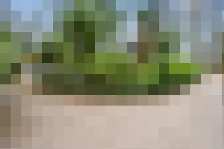 Horalaan 111 Bennekom thumbnail 10