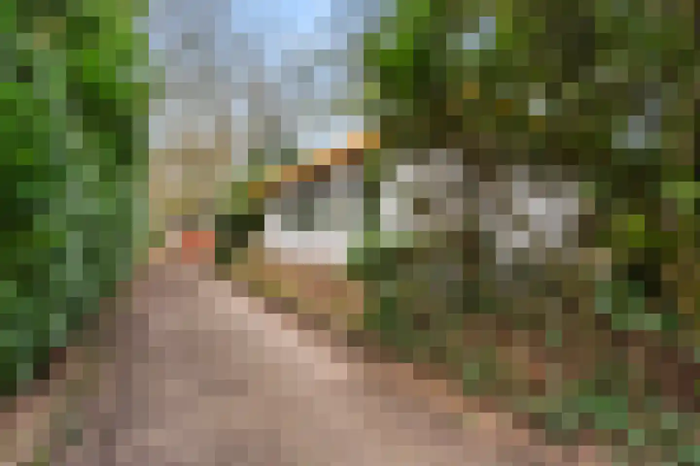 Horalaan 111 Bennekom thumbnail 11