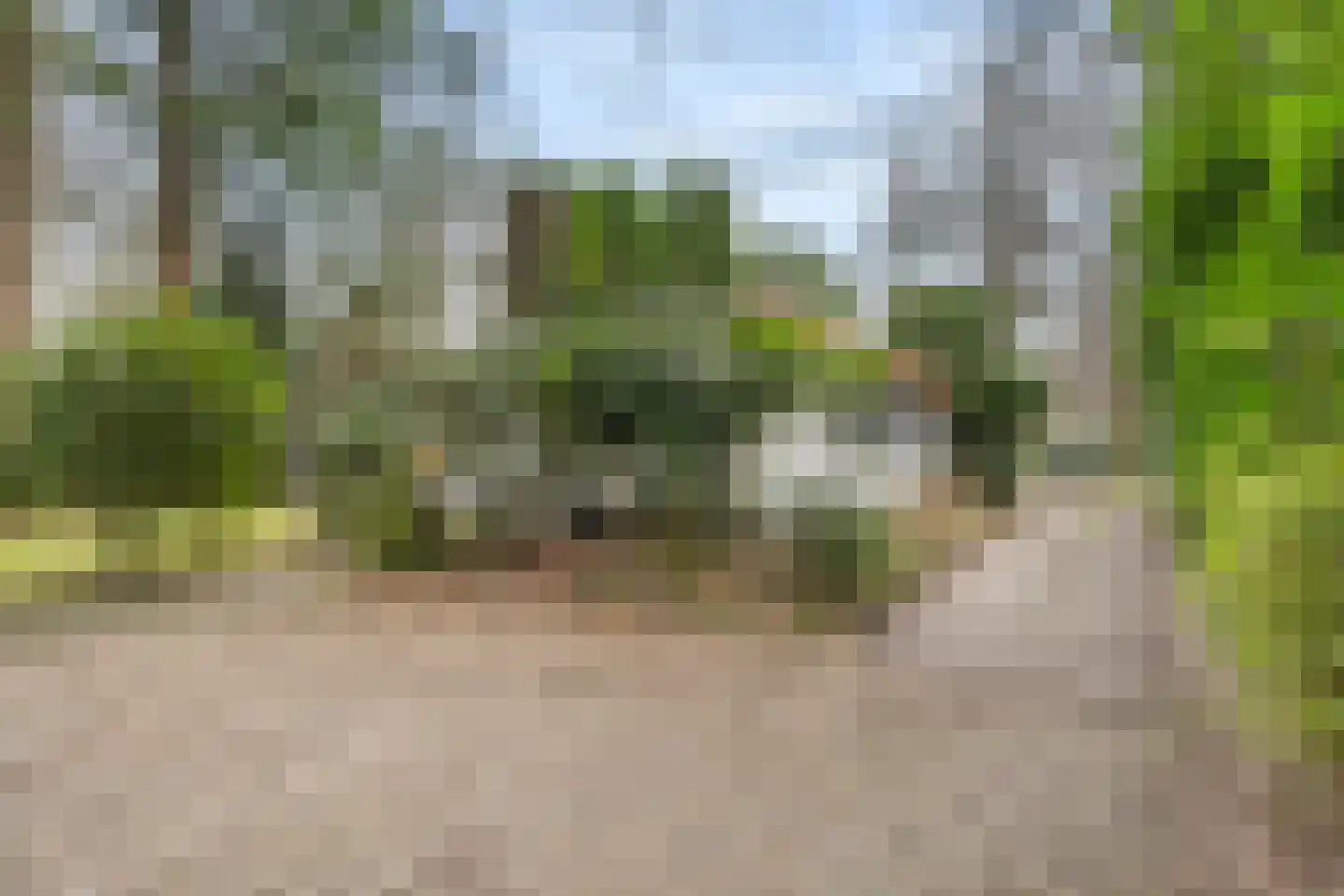 Horalaan 111 Bennekom thumbnail 13