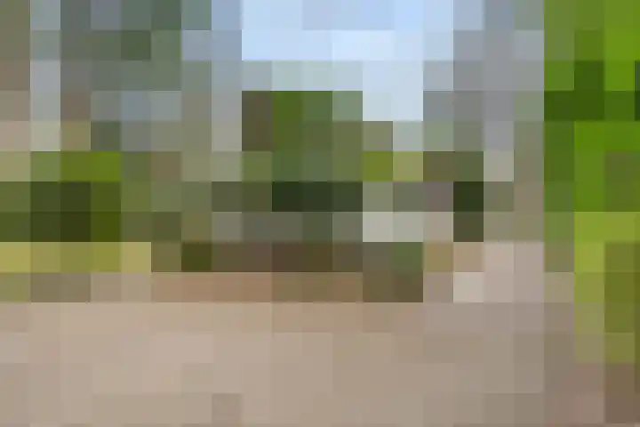 Horalaan 111 Bennekom thumbnail 13