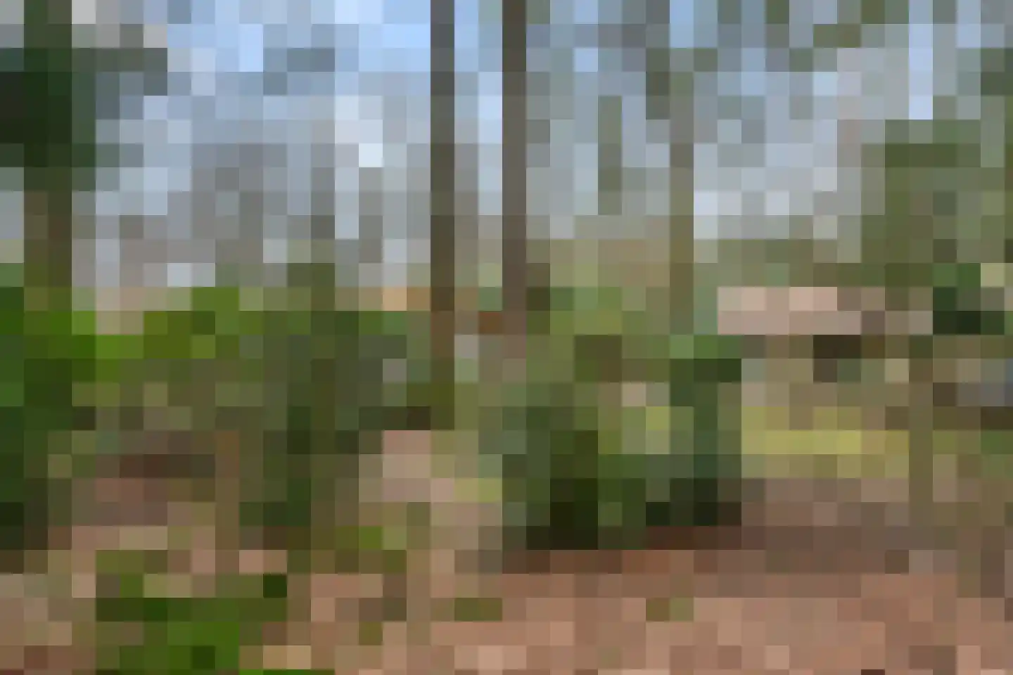 Horalaan 111 Bennekom thumbnail 14
