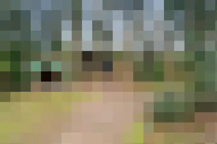 Horalaan 111 Bennekom thumbnail 15