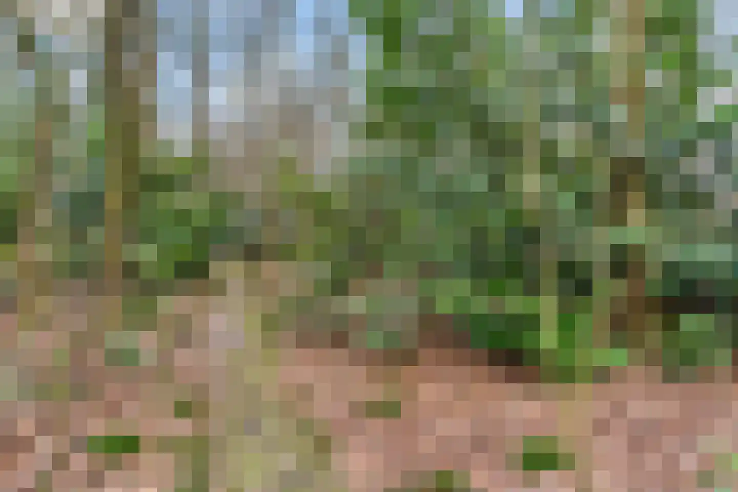 Horalaan 111 Bennekom thumbnail 16