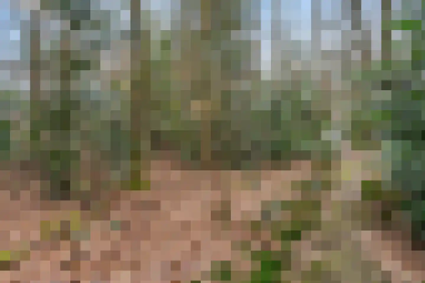 Horalaan 111 Bennekom thumbnail 17