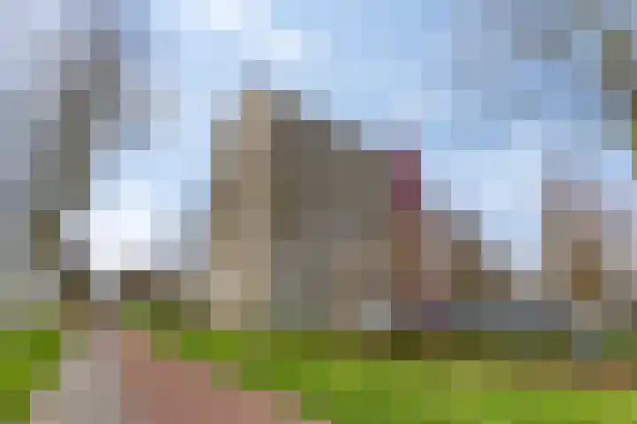 Horalaan 111 Bennekom thumbnail 17