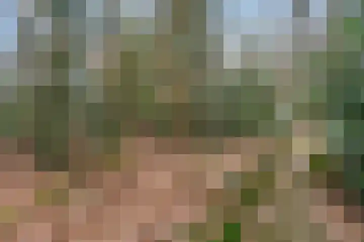 Horalaan 111 Bennekom thumbnail 17