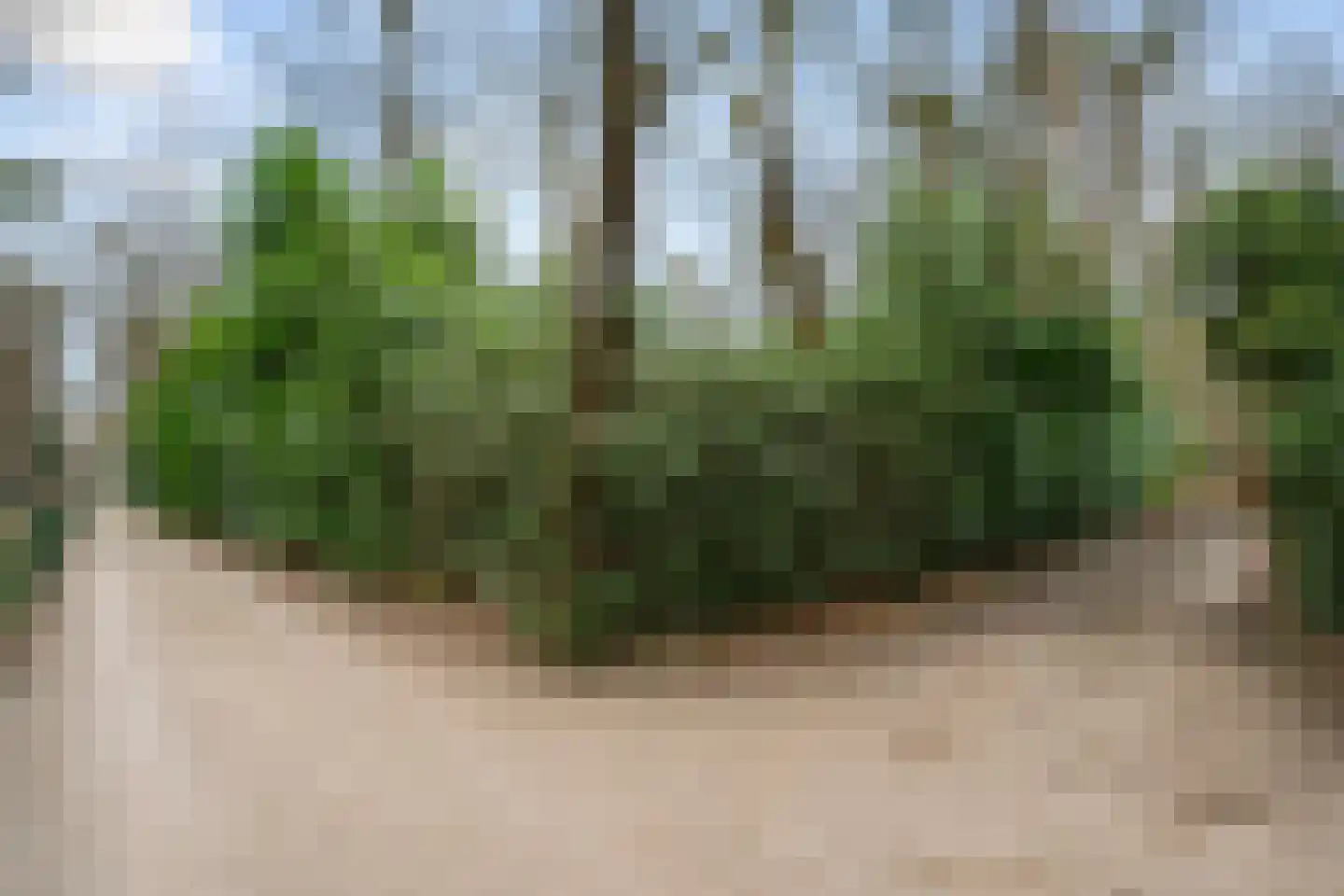 Horalaan 111 Bennekom thumbnail 18