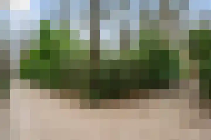 Horalaan 111 Bennekom thumbnail 18