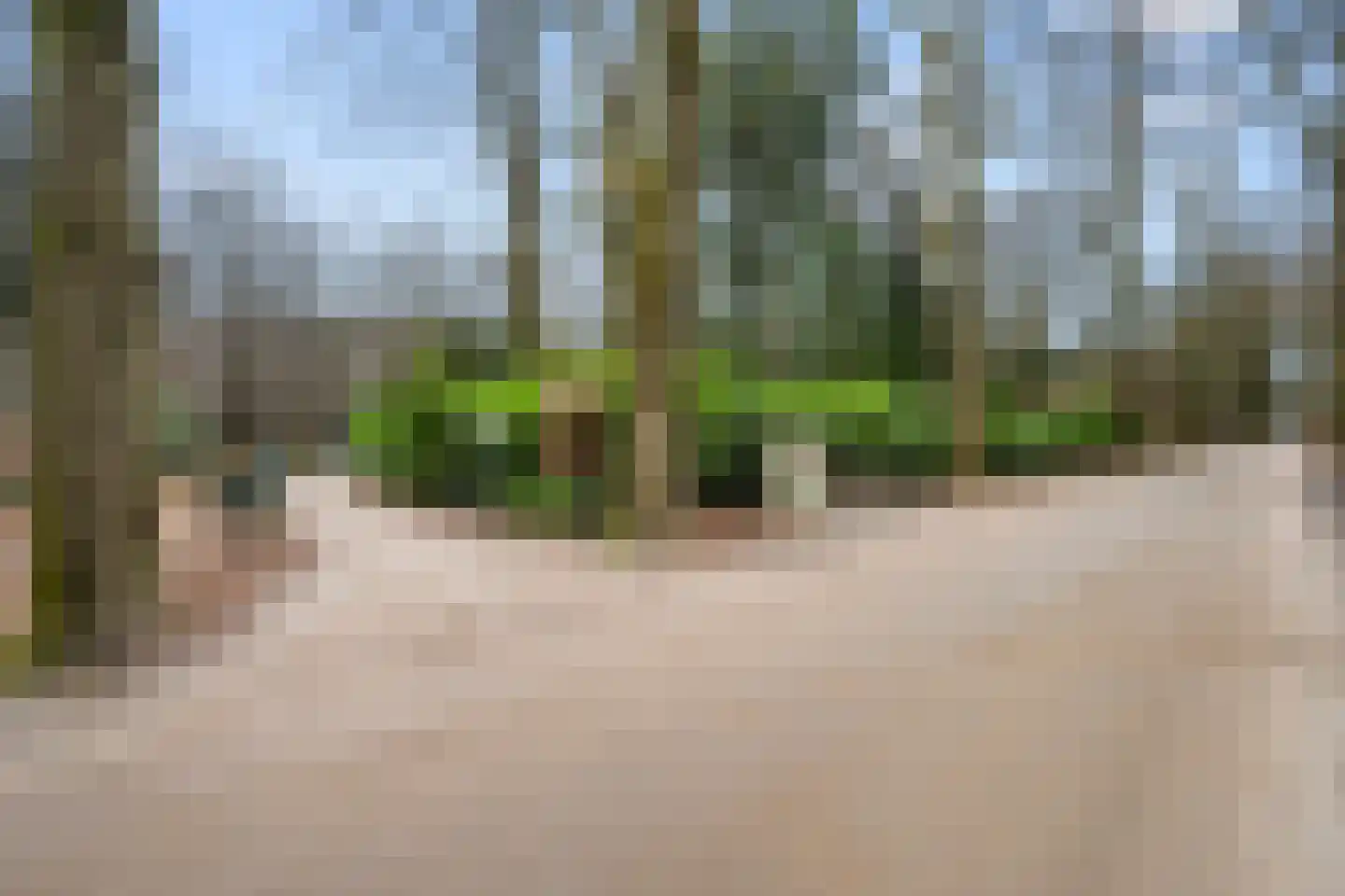 Horalaan 111 Bennekom thumbnail 19