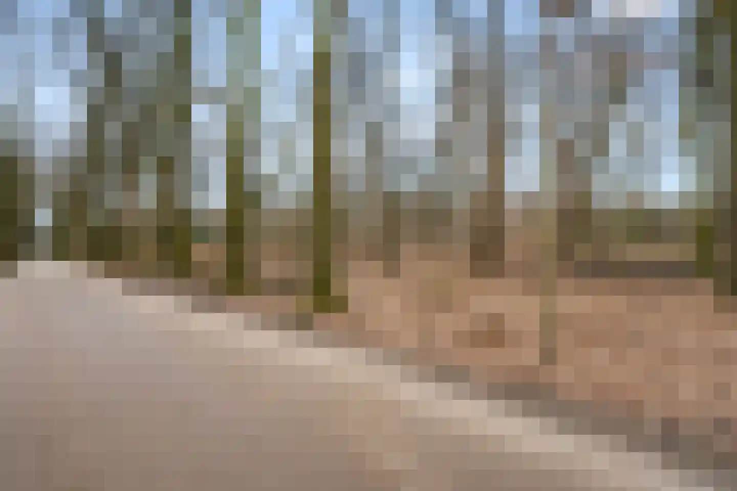 Horalaan 111 Bennekom thumbnail 20
