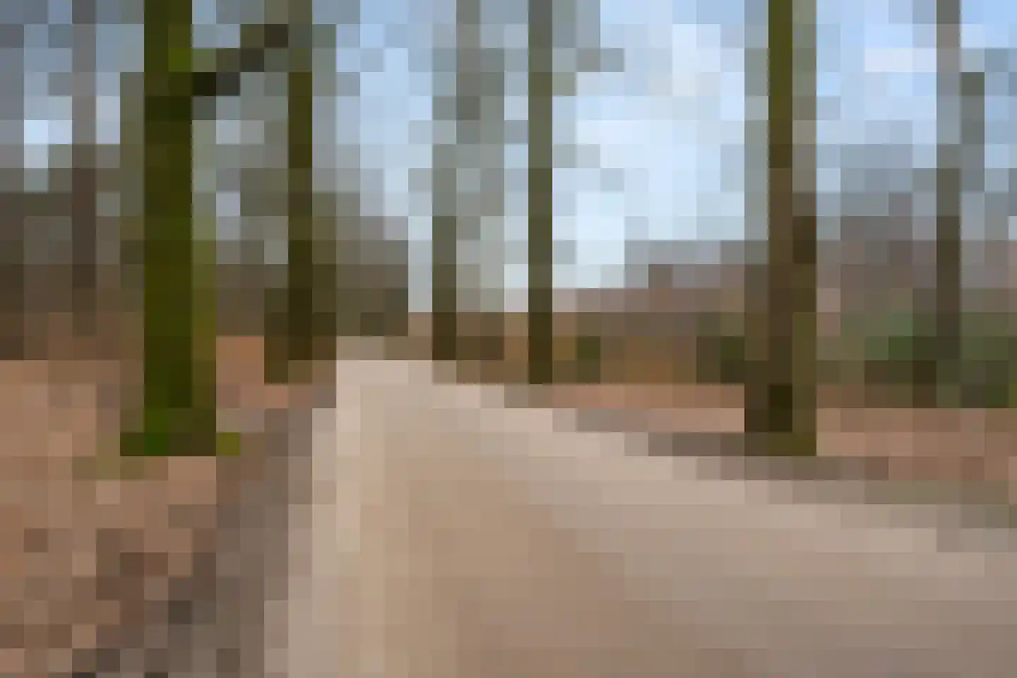 Horalaan 111 Bennekom thumbnail 21