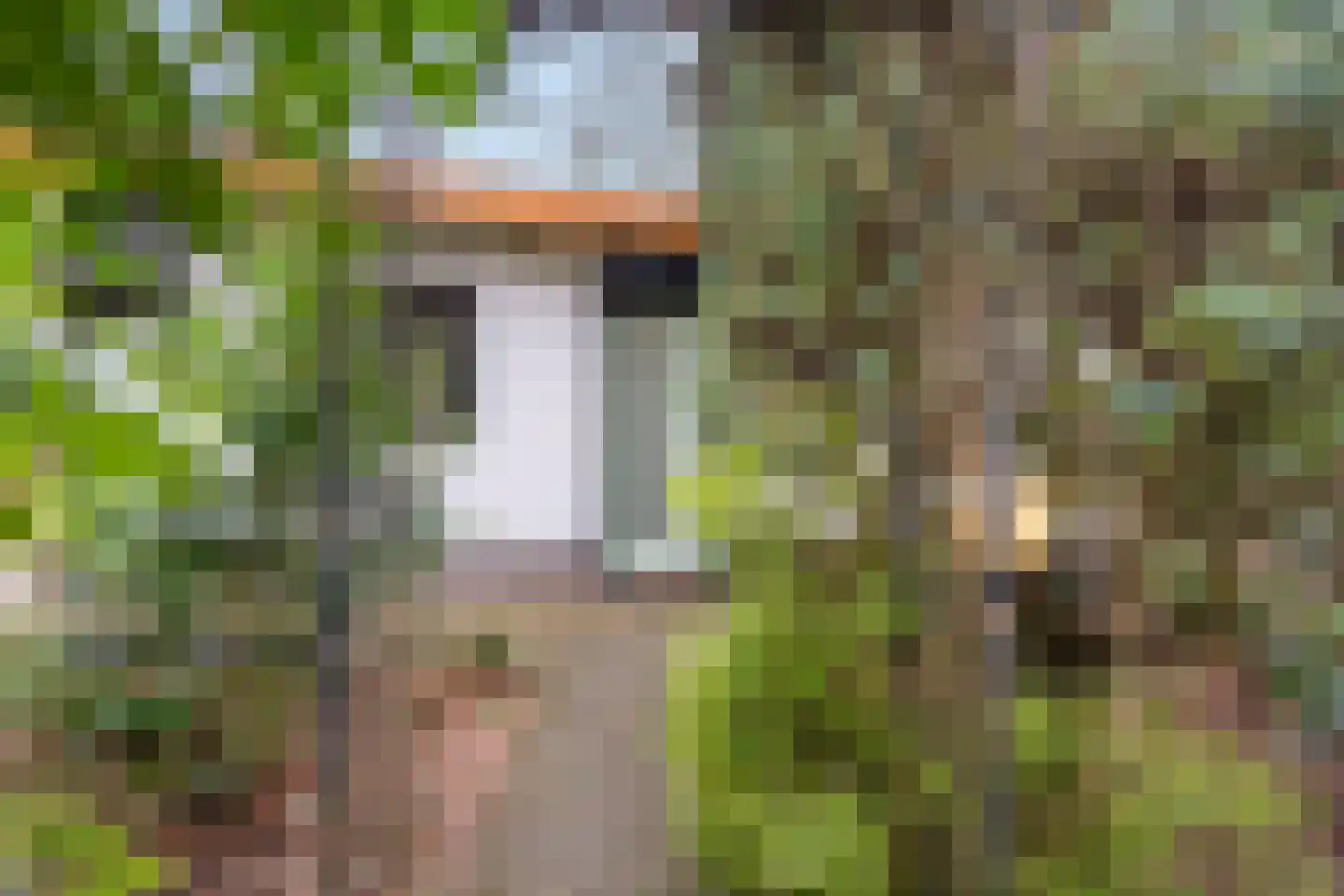 Horalaan 111 Bennekom thumbnail 22