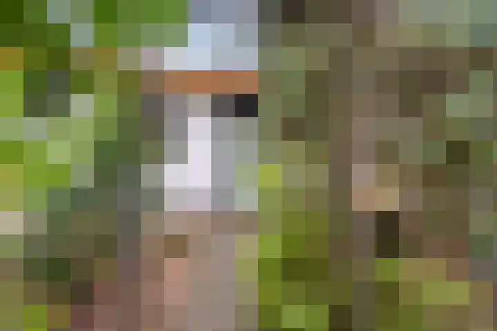 Horalaan 111 Bennekom thumbnail 22