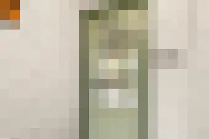 Horalaan 111 Bennekom thumbnail 24