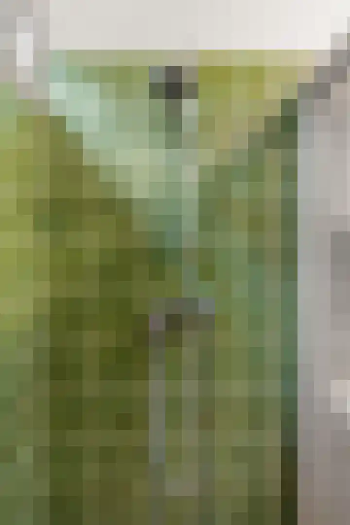 Horalaan 111 Bennekom thumbnail 42