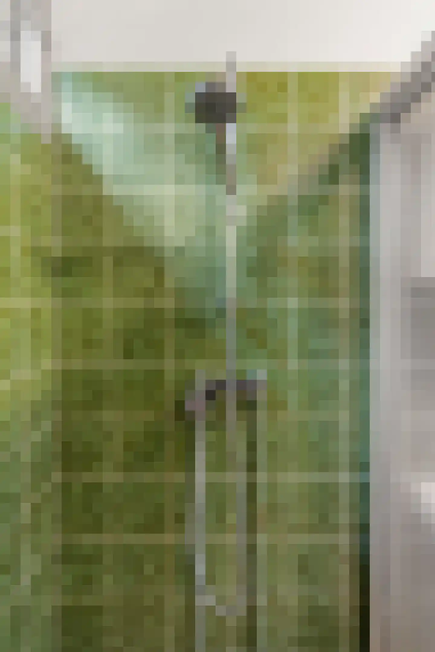 Horalaan 111 Bennekom thumbnail 42