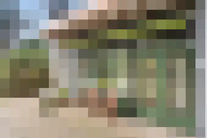 Horalaan 111 Bennekom thumbnail 7