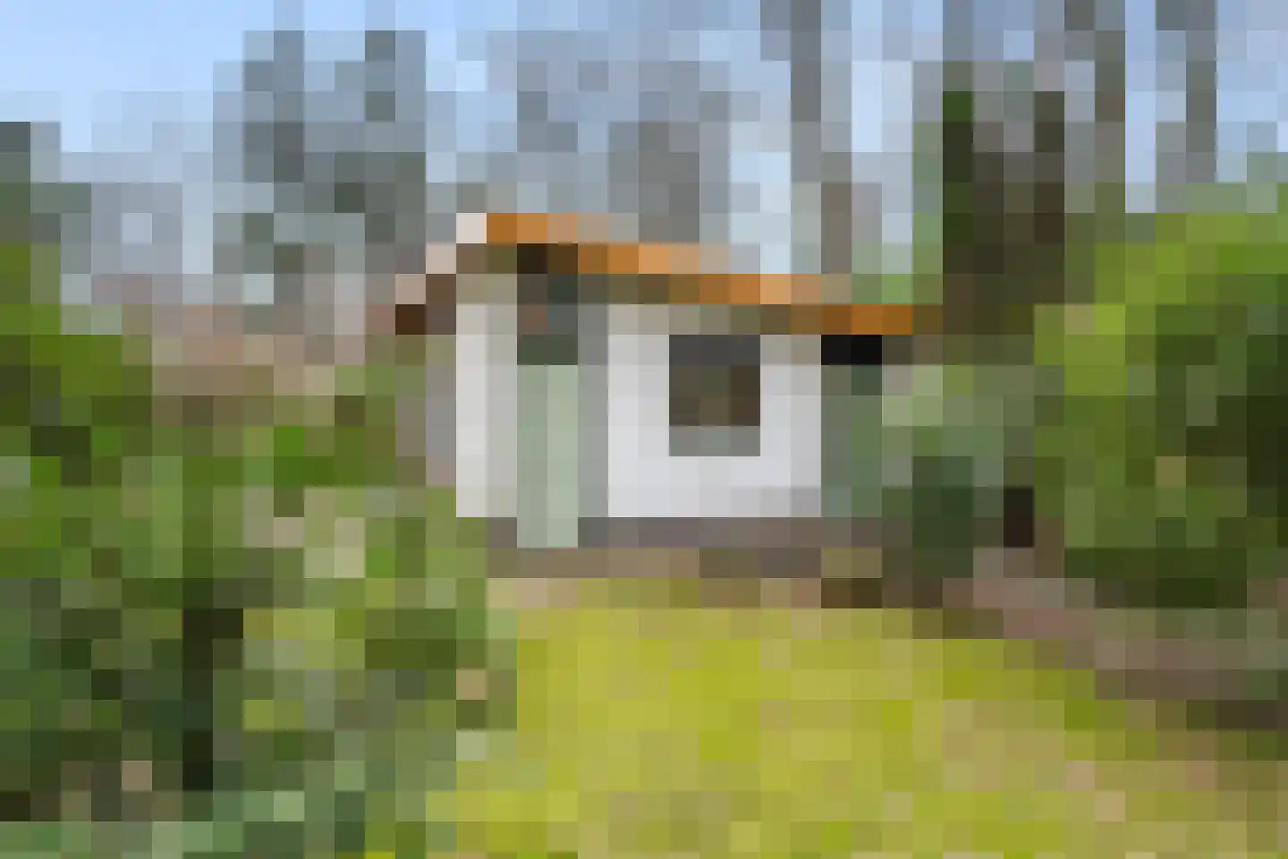 Horalaan 111 Bennekom thumbnail 9