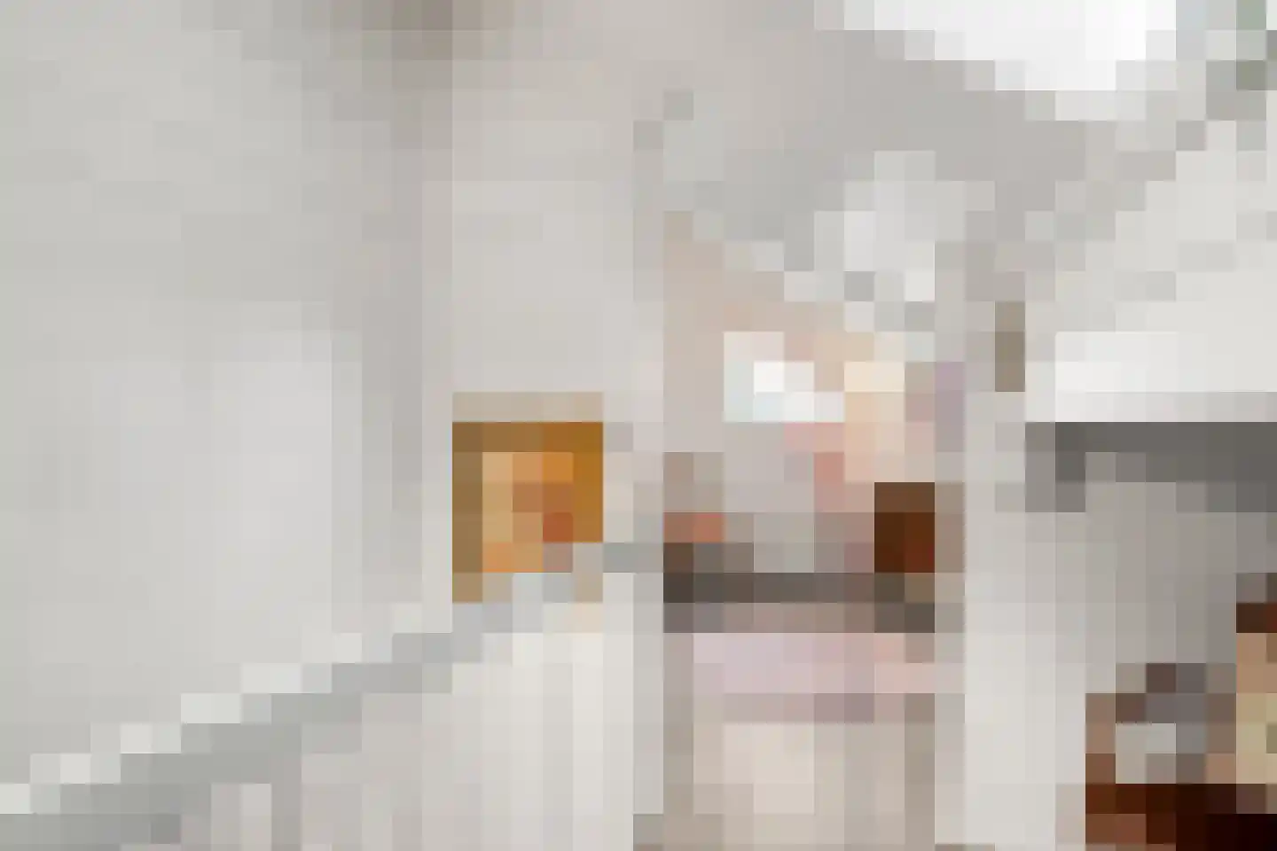 Horalaan 12 Bennekom thumbnail 33