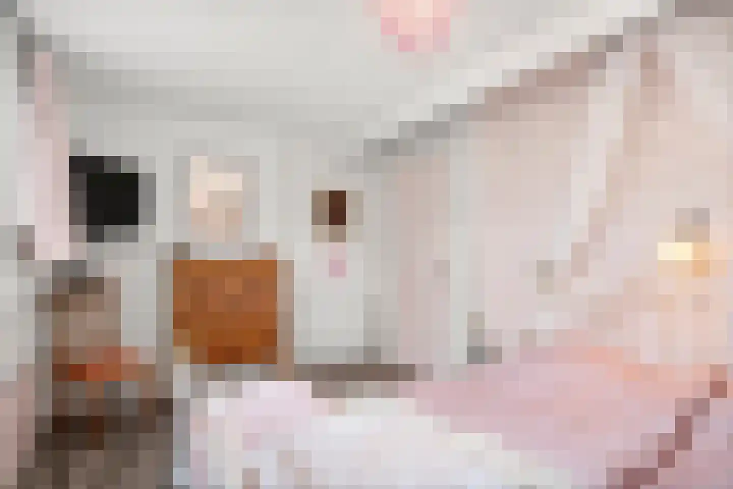 Horalaan 12 Bennekom thumbnail 40