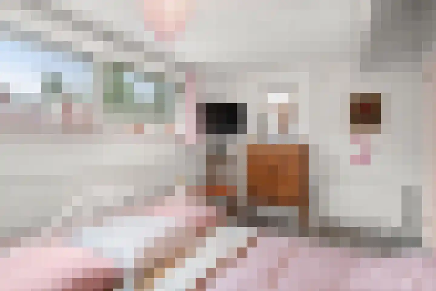 Horalaan 12 Bennekom thumbnail 41