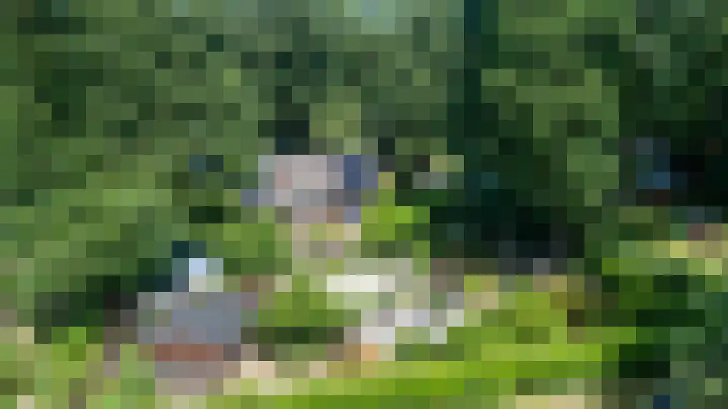 Horalaan 12 Bennekom thumbnail 44