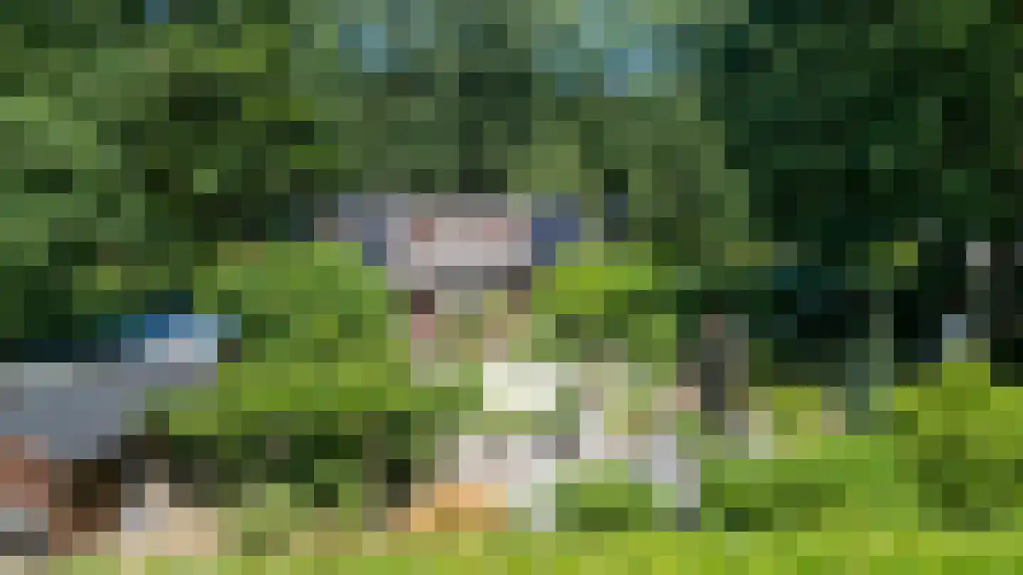 Horalaan 12 Bennekom thumbnail 5