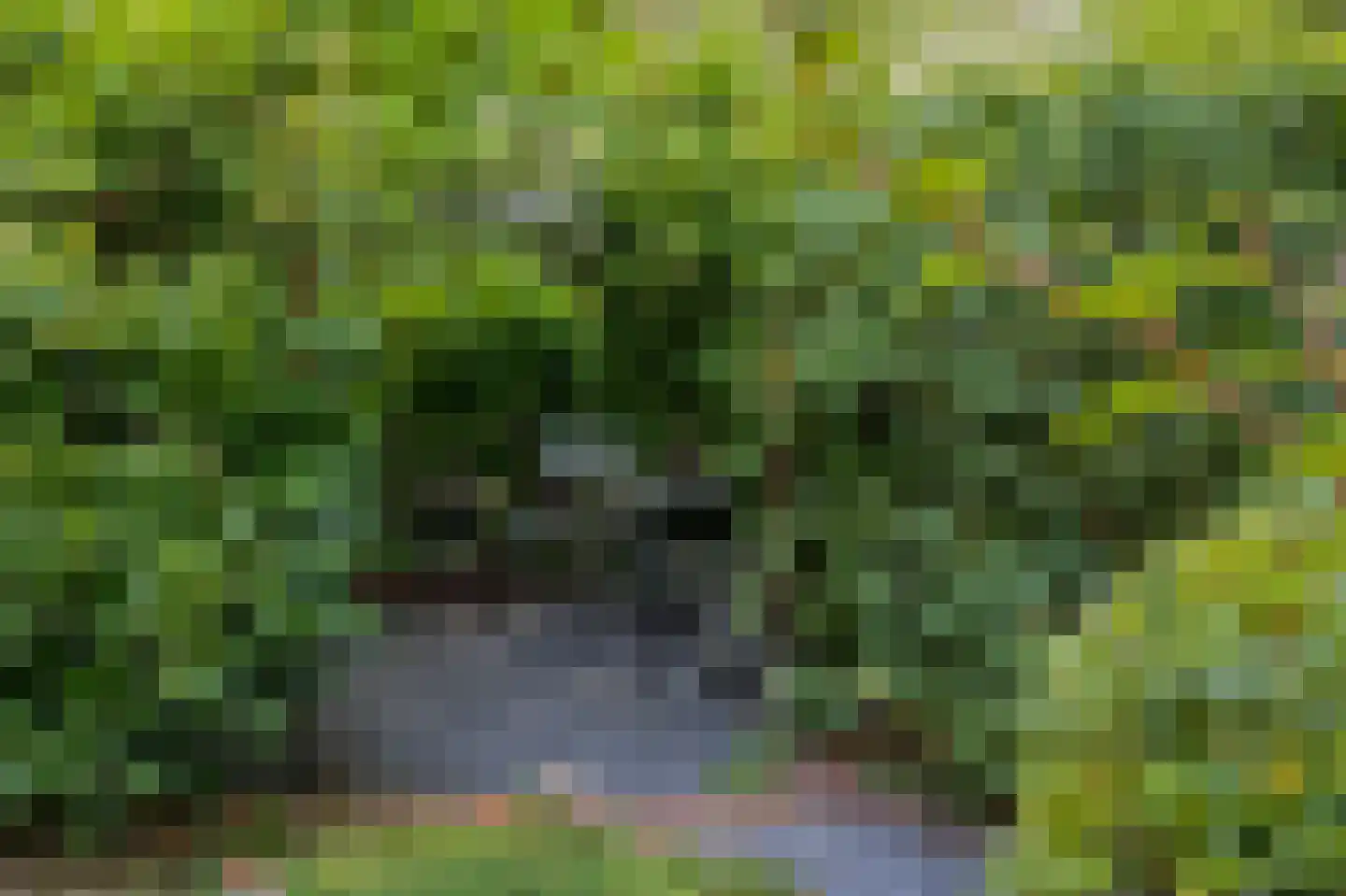 Horalaan 12 Bennekom thumbnail 50