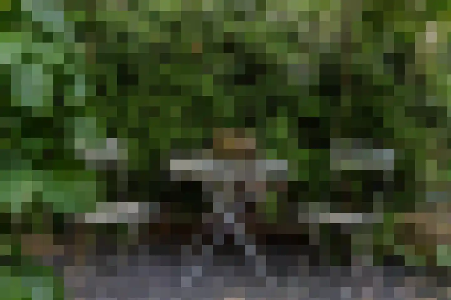 Horalaan 12 Bennekom thumbnail 51