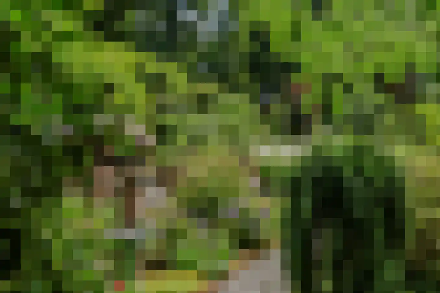Horalaan 12 Bennekom thumbnail 52