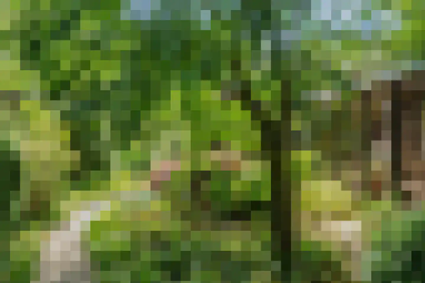 Horalaan 12 Bennekom thumbnail 53